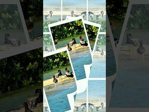 Tutóia e seus encantos. O Maranhão é lindo demais