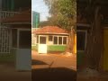 Unbelievable Footage In Graveyard Office Shock All