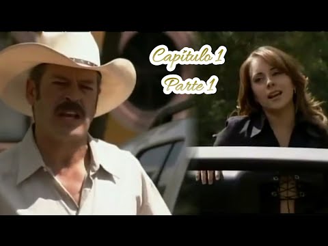 Amada Minha video