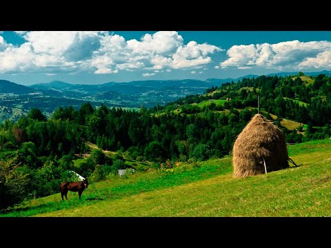 ielele - Lume (lyric video)