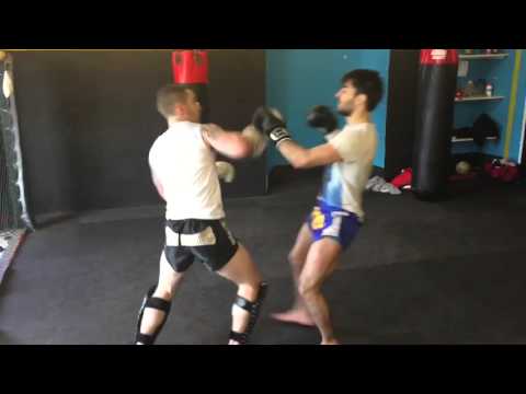 TONY STEFAN SPARRING