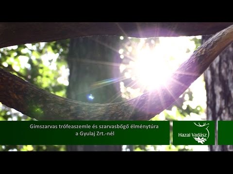 HAZAI VADÁSZ TV Magazin – 2015. október 11-i adás