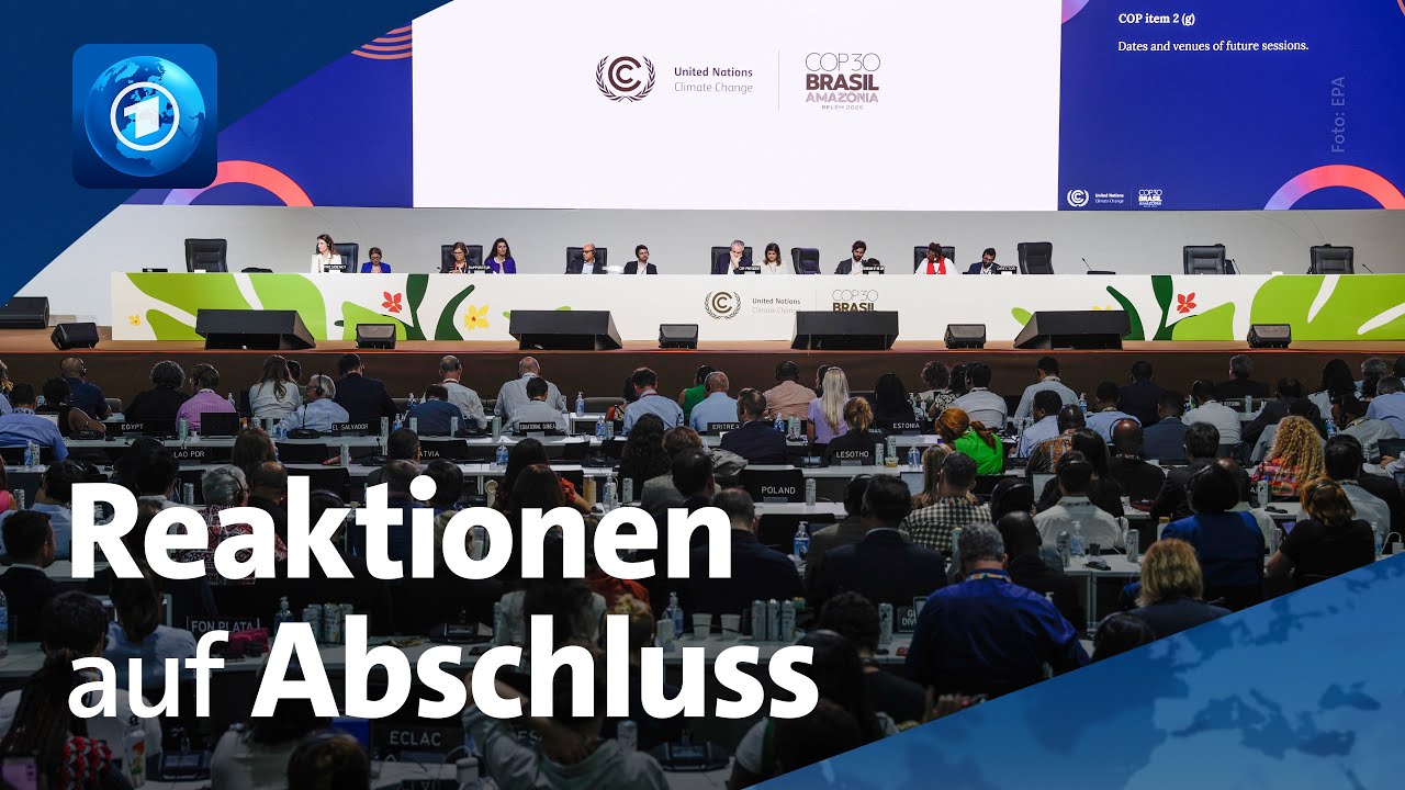 Weltklimakonferenz in Belém beendet: Reaktionen auf Abschlusserklärung der COP30