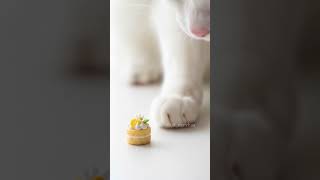 【粘土】ケーキ🍋【ミニチュアスイーツ】#shorts #clayart #miniature #clay #polymerclaytutorial
