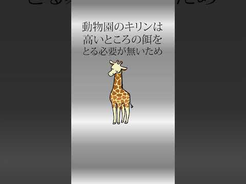 キリンはどこに住んでいますか?