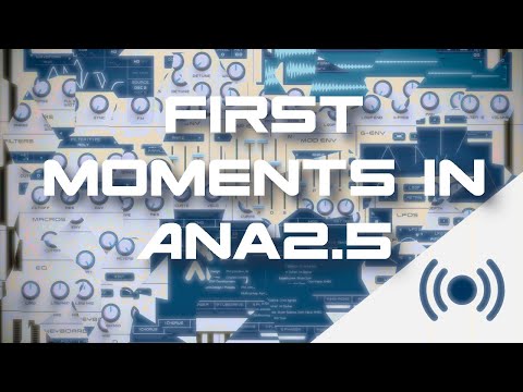 I Just Bought Ana 2.5 and I Make Sounds With It