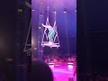 NYC Big Apple Circus