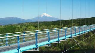 動画1