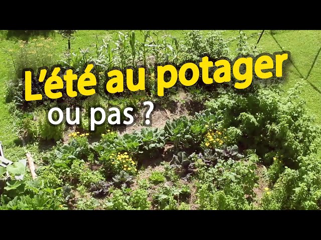 Video de pronunciación de Août en Francés