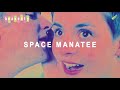 Space Manatee by Heavenly – Music from The state51 Conspiracy