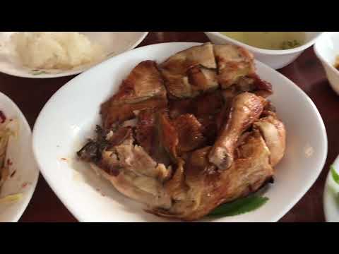 Viaje comigo - Chiang Rai, Tailândia (primeira semana + DoiTung, MaeSai)