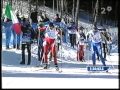 Sportåret 2003