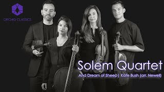 The Solem Quartet | And Dream of Sheep -  Kate Bush
