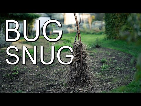 How To Make A Bug Snug