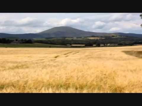 FIELDS OF GOLD ( Sting) Sung By  PAULINE ALEXANDER