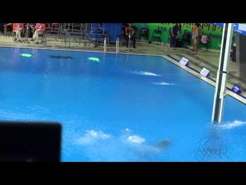 [Incheon Asian Games] Qiu Bo of China