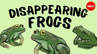 Disappearing frogs - Kerry M. Kriger