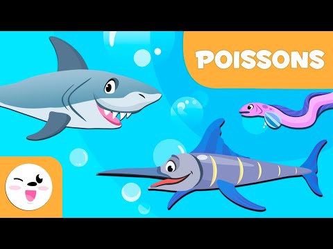 Les poissons pour enfants - Les animaux vertébrés - Sciences naturelles pour enfant