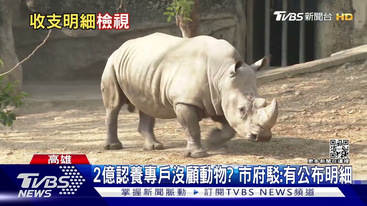 2億元認養專戶「壽山」只花百萬顧動物? 市府回應反駁