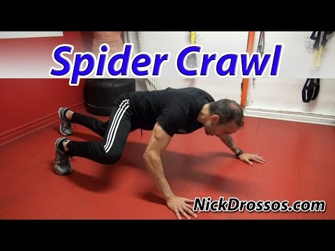 Spider Crawl