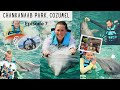 Chankanaab Adventure Park - Cozumel - Dolphin Swim Review & Sea Lion Show