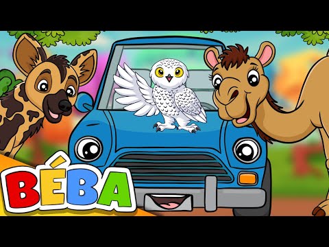 BÉBA - AUTA NA VÝLETĚ | Písnička pro děti | Naučná dětská pohádka