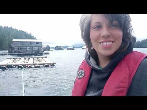 beachcombing for logs and sailing against the schedule - Sailing Oka Solo - 035