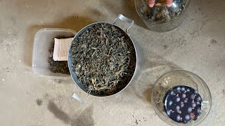 17 կգ-ի թմրամիջոցներ. Իրավապահները բացահայտել են ապօրինի թմրաշրջանառության մի ողջ շղթա