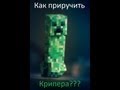 Как приручить крипера в minecraft? 