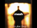 mesh - I Don't Think They Know