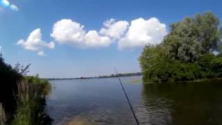 Ловить голавля на отводной поводок