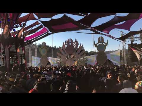 Burn in Noise Live @ Ozora one day in Mexico