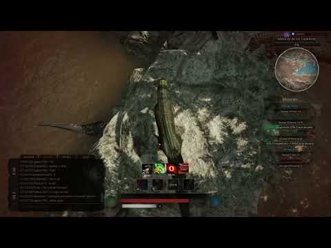 Free Swiming lessons for Rexy boy! 