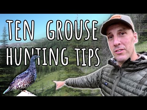 How to FIND GROUSE. Ten Grouse Hunting Tips!