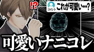 【かわいい？】加賀美ハヤトが可愛いと反応したものに対して全く共感が出来ず困惑するリスナーたちｗｗｗ【切り抜き/にじさんじ】