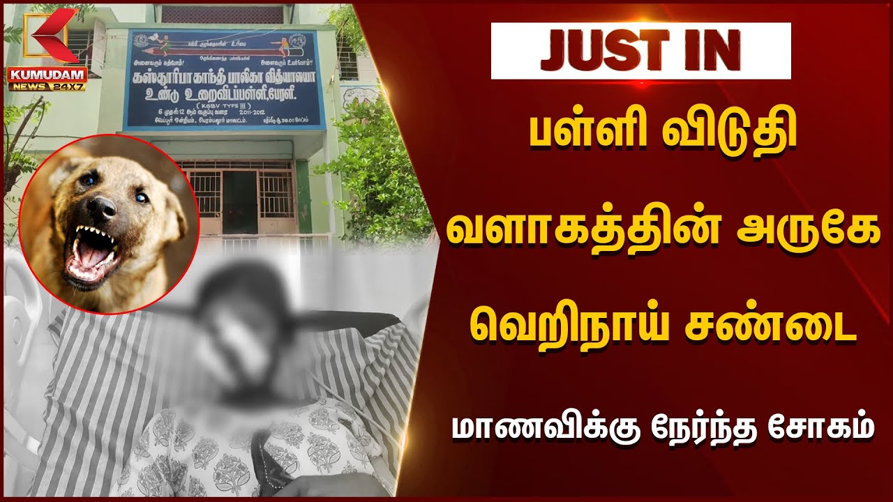 Perambalur Dog Bite: பள்ளி விடுதி வளாகத்தின் அருகே வெறிநாய் சண்டை.. மாணவிக்கு நேர்ந்த சோகம்