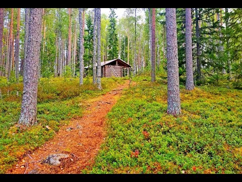 ЖИЗНЬ В ТАЙГЕ | Рыбалка в Карелии. Особенности карельской рыбалки