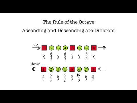 Video 7.2--The Rule of the Octave