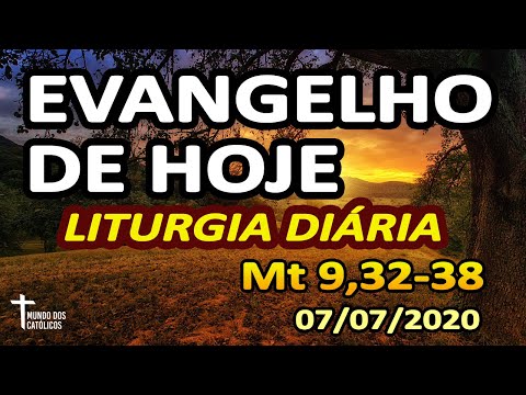 EVANGELHO DE HOJE: Homilia Diária e Reflexão da LITURGIA DIARIA (07/07)