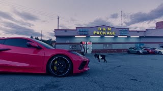 PARTYNEXTDOOR & DRAKE - SOMEBODY LOVES ME DIRECTED BY JUSTICE SILVERA