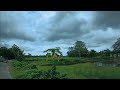 Lovely Naturals Video Village Rain Status Video