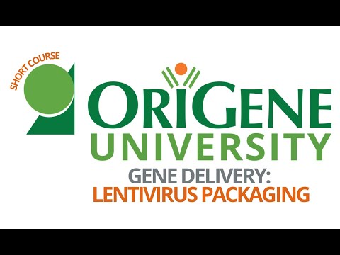 OriGene University: Overview of Lentivirus Packaging