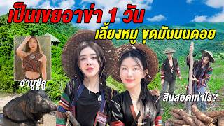 พิชิตใจสาวอาข่า! ใช้ชีวิตเป็นเขยบนดอย ไร้ไฟฟ้า เลี้ยงหมู ขุดมัน…จะสำเร็จไหม @AbusuluSaoakha