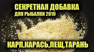 Кунжут как прикормка для рыбы