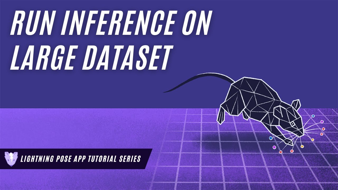 Lightning Pose App - Run Inference on Large Datasets
