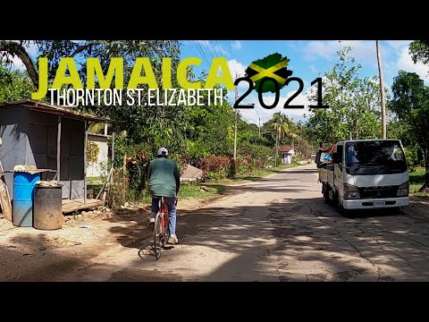 JAMAICA ROAD TRIP THORNTON TO WILLIAMSFIELD ST.ELIZABETH | JAMAICA COUNTRYSIDE