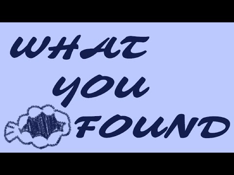 What You Found - The Showrunners