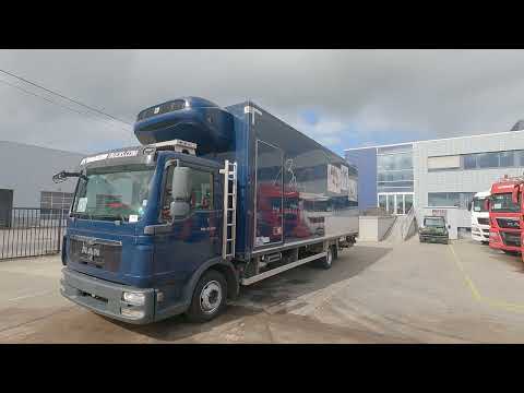 MAN TGL video nahled