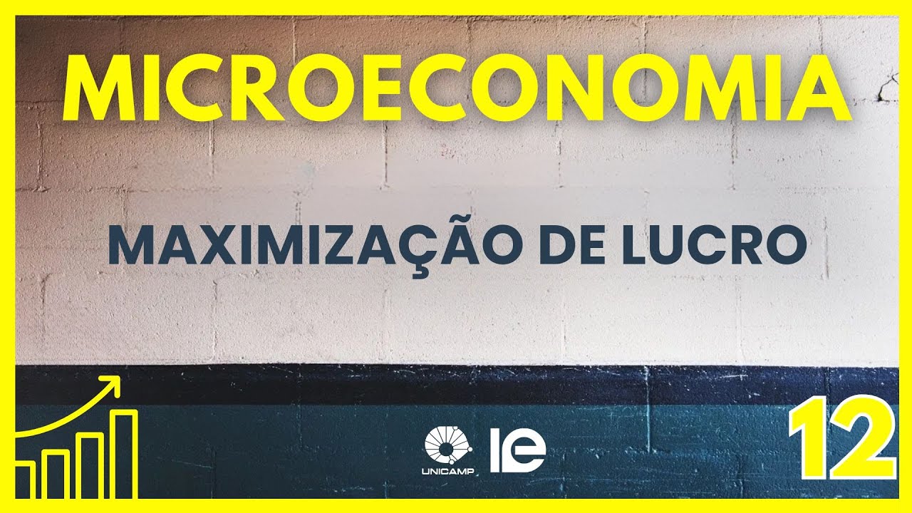 Microeconomia - Aula 12 -  Maximização de Lucro