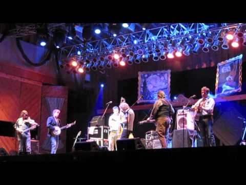 Telluride House Band 2012 - Duke and﻿ Cookie (18)